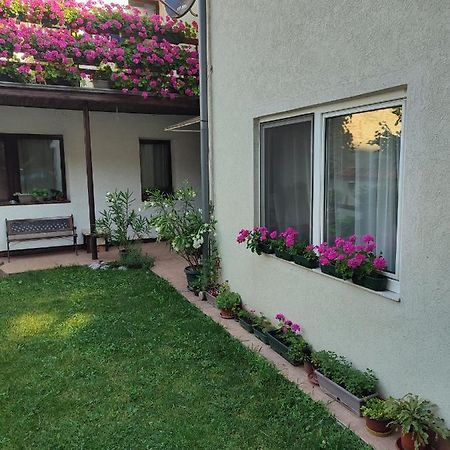 Apartman Mitic Požarevac Zewnętrze zdjęcie