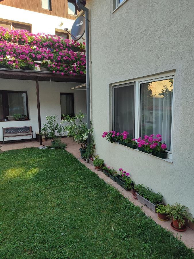 Apartman Mitic Požarevac Zewnętrze zdjęcie